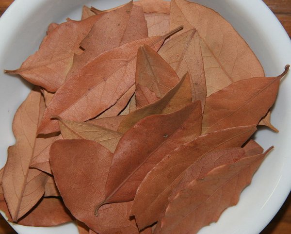 Dried leaves of Laurel nobilis