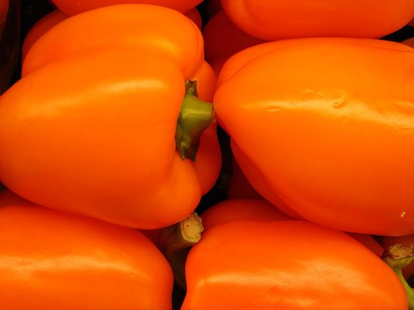 Orange Bell Peppers