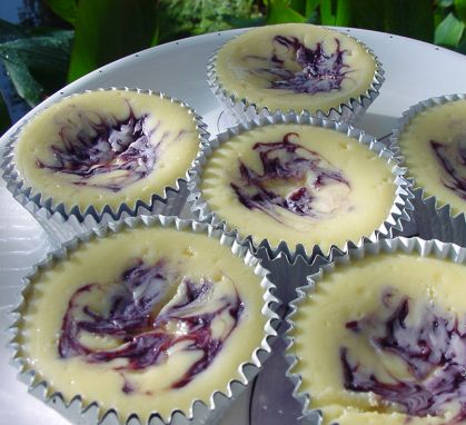 Blueberries cheesecake tarts