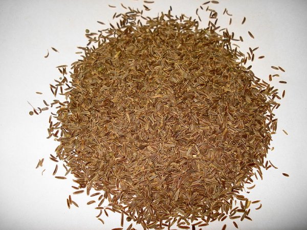 Caraway fruits