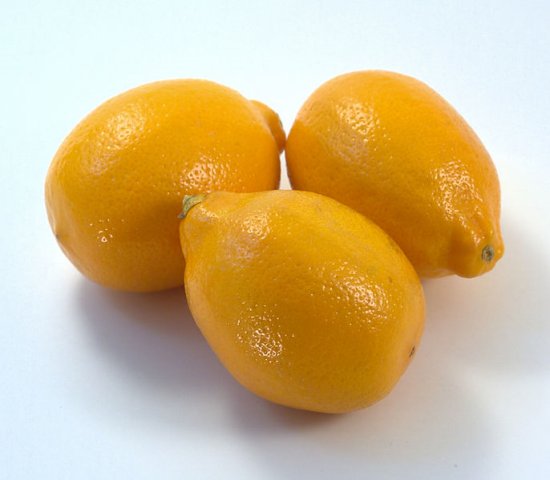 Meyer lemon (Citrus  meyeri)