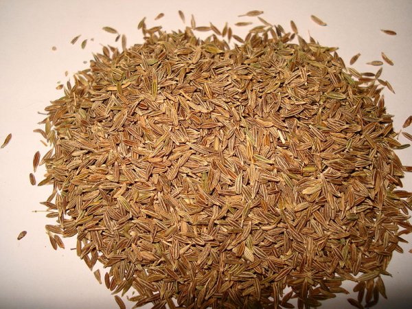 Cumin seeds