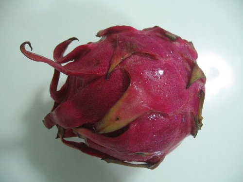 Dragon Fruit, also called Pitaya