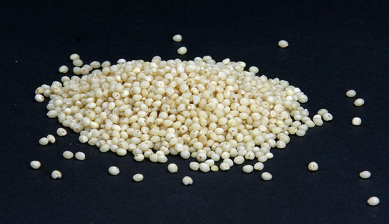 Millet grains