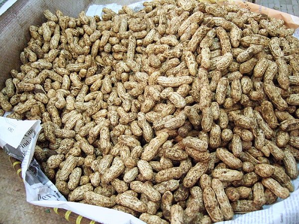 Raw peanuts