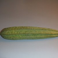 Angled Luffa