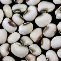 Black-eyed Pea