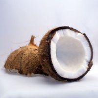 Coconut