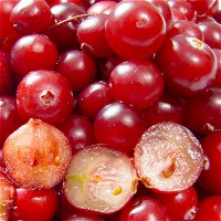 Cranberries