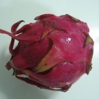 Dragon Fruit