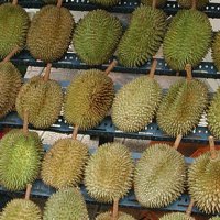 Durian