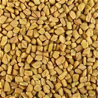 Fenugreek