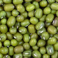 Mung Bean