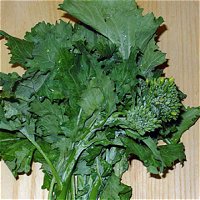 Rapini