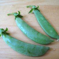 Snap Pea