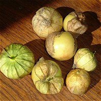 Tomatillo